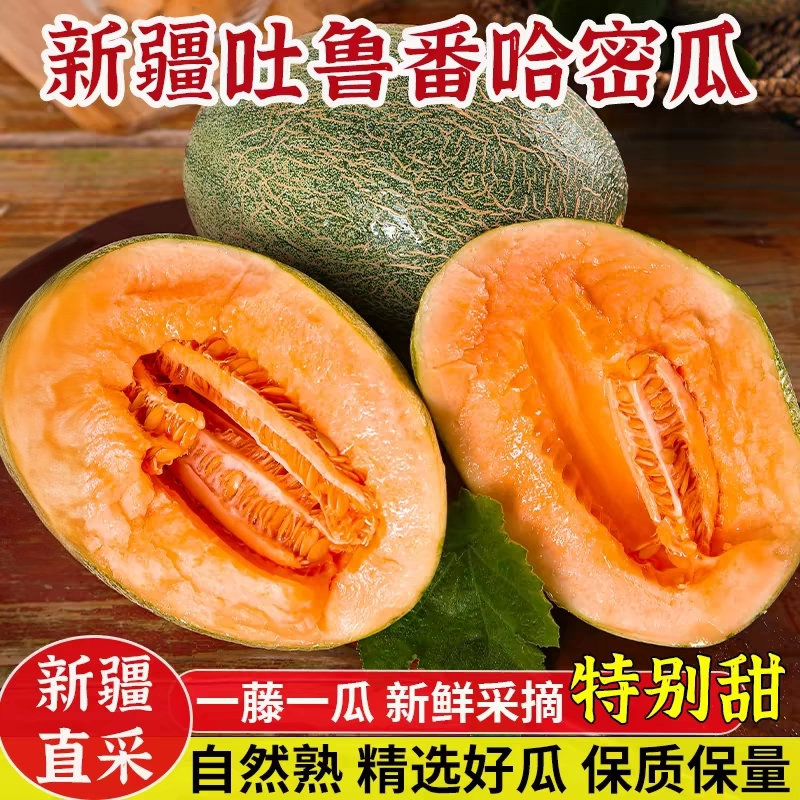 正宗新疆哈密瓜脆甜多汁皮薄肉厚吐鲁番新鲜应季水果西州蜜25号