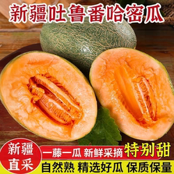 哈密瓜新疆正宗脆甜多汁皮薄肉厚吐鲁番新鲜应季水果西州蜜25号