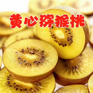 黄心猕猴桃新鲜金桃包邮奇异果孕妇水果产地河南西峡甜金果批发