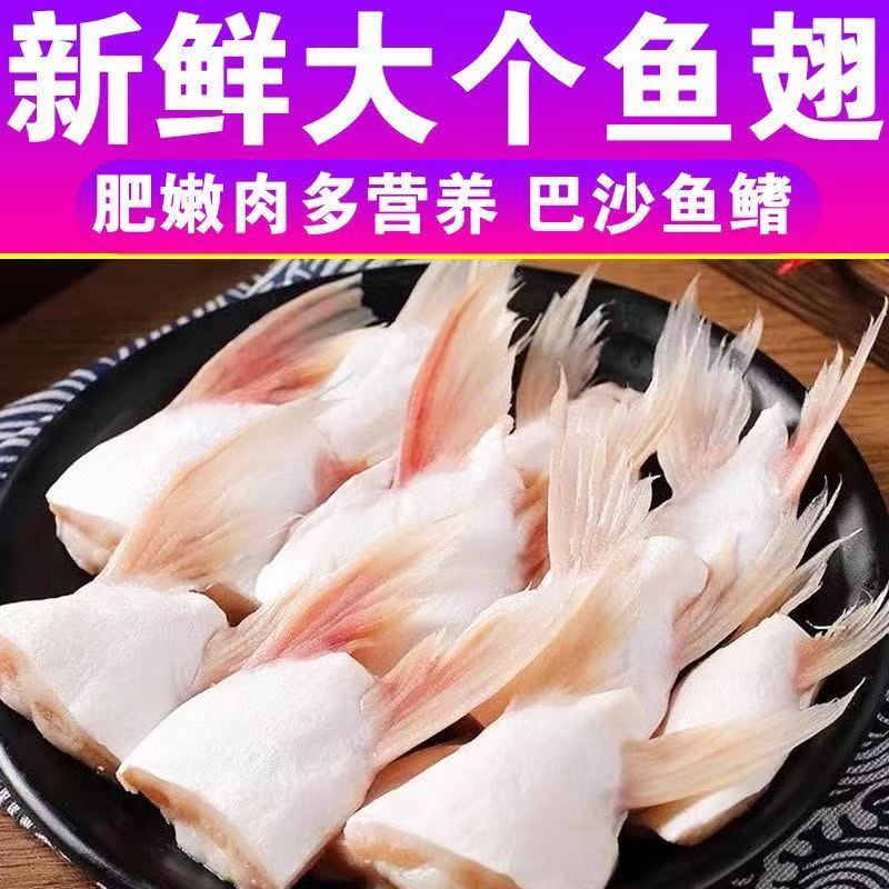 新鲜肥嫩巴沙鱼鳍鮰鱼翅鱼肥油龙利鱼鱼下巴冷冻鱼嘴鱼腩批发水产