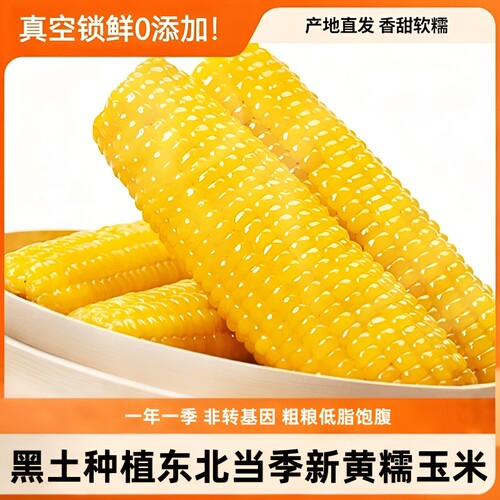 正宗东北新鲜黄糯玉米软糯拉丝真空装寒地黑土粘玉米棒香甜代餐
