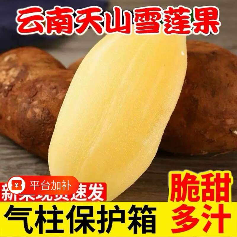 现挖2026年新果云南高原天山黄心雪莲果新鲜水果脆甜多汁5斤9斤
