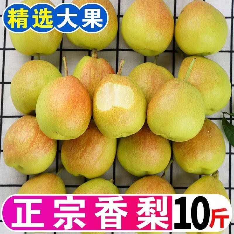 【现摘现发】新鲜红香酥梨香梨脆甜多汁皮薄肉厚当季水果整箱10斤,水产肉类/新鲜蔬果/熟食,梨,淘宝优惠券,粉丝福利购,淘宝优惠卷