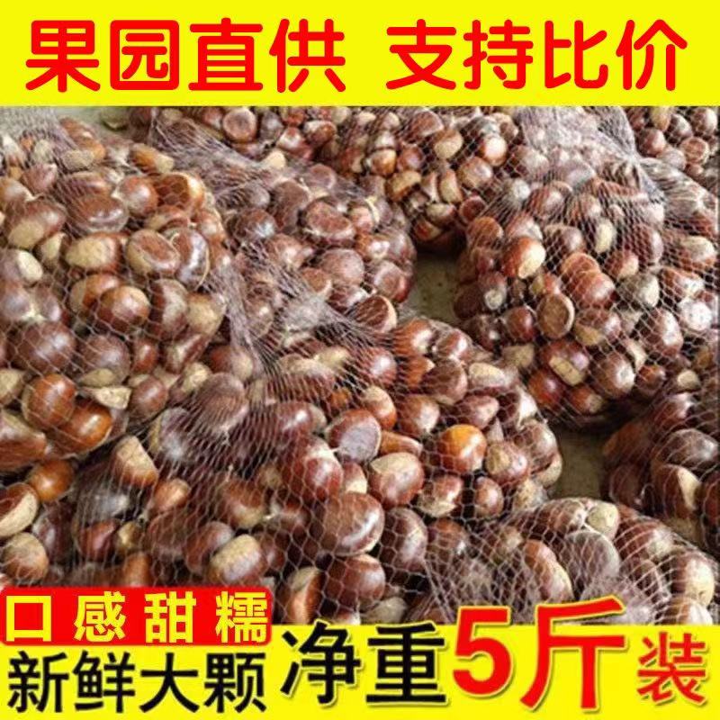 丹东板栗不开口