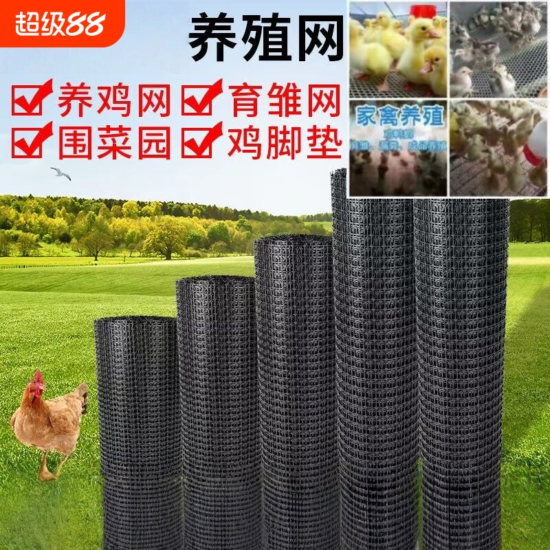 塑料网格防护网养殖菜园鱼塘拦鸡网子户外圈玉米网养鸡围栏网家用