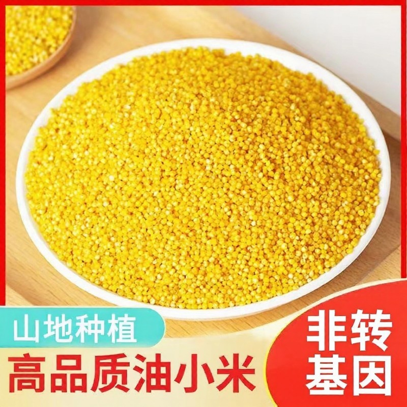 黄小米山西特产新粗粮沁州正宗米脂小米粥月子谷米袋装优质熬粥