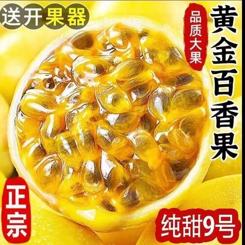 钦蜜9号黄金百香果9斤新鲜水果