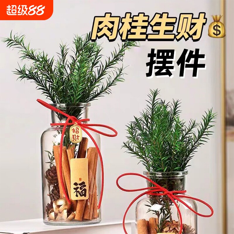 肉桂生财瓶摆件招财玻璃瓶花瓶diy材料客财厅位乔迁新居搬家用
