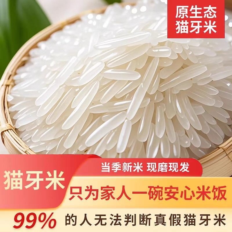 长寿乡大米富贵象牙米当季新米