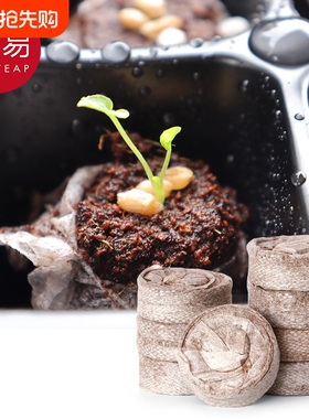 育苗盒A1vo001-育苗块塑料育苗盆营养杯压缩泥炭育种植花卉基质