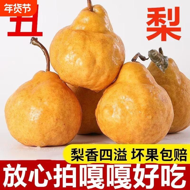 山东中华丑梨烟台太婆梨莱阳现摘啤梨软梨子新鲜当季孕妇老人水果,水产肉类/新鲜蔬果/熟食,梨,淘宝优惠券,粉丝福利购,淘宝优惠卷