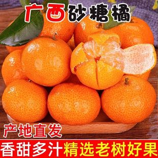 正宗广西砂糖橘大果新鲜水果当季砂糖桔蜜橘桔子新鲜时令水果整箱