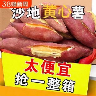 《精品推荐》新鲜黄心龙九蜜薯沙地红薯地瓜新鲜沙地番薯