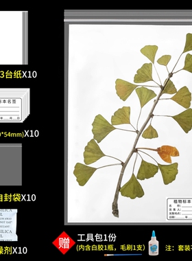 标本台纸腊叶植物标本夹中药普查专用40*30cm国家标准款a4A3卡纸树叶标本制作不干胶标本名标签塑自封袋