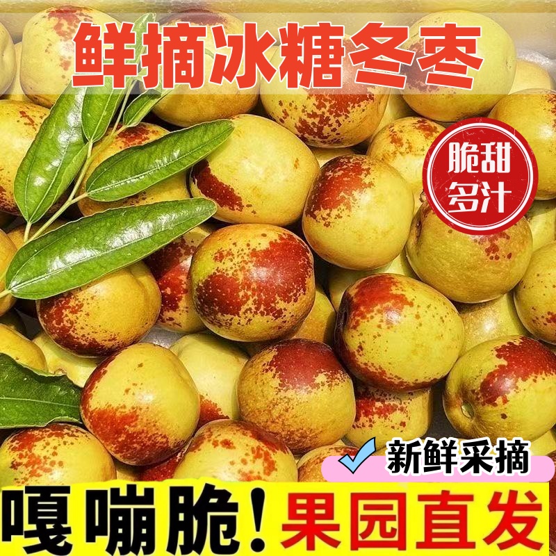 正宗冬枣脆甜新鲜大果应季整箱枣子现摘脆枣冰糖大枣5斤当季水果