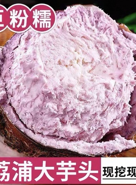 正宗广西桂林大芋头新鲜蔬粉香软糯荔浦芋头新鲜现挖广西特产