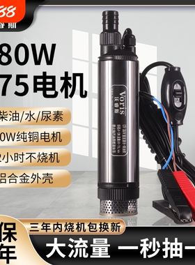280w大功率柴油泵电动抽油泵神器12v大流量24伏小型抽水泵220潜油