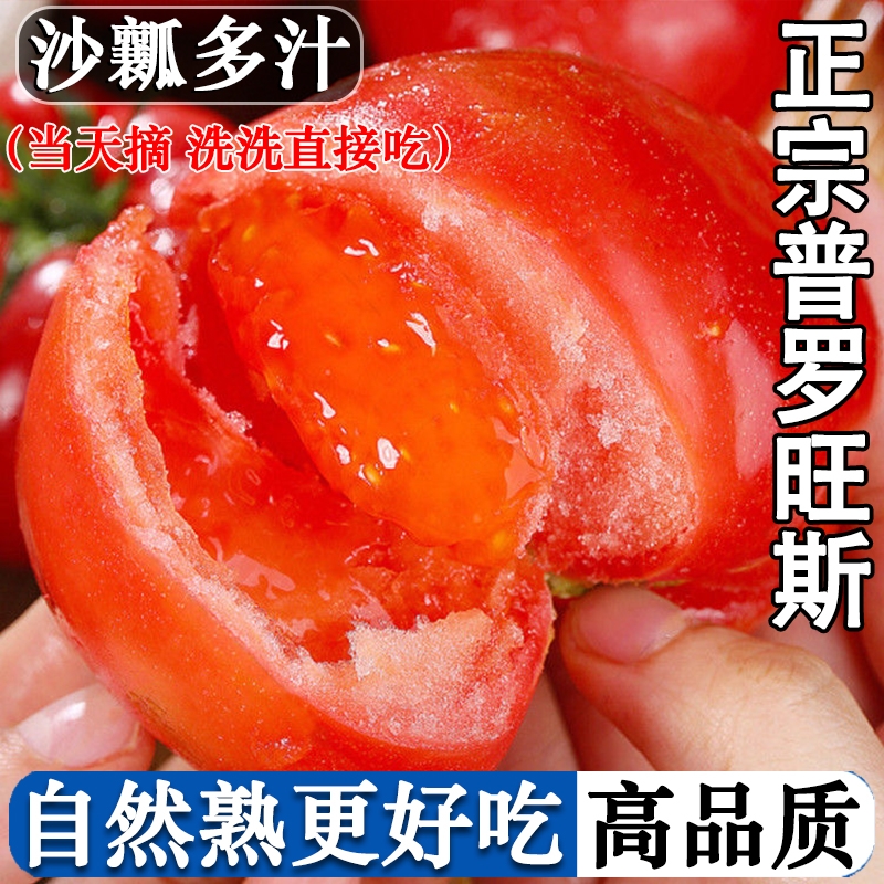 正宗普罗旺斯西红柿自然熟番茄当季水果当季沙瓤现摘孕妇新鲜蔬菜