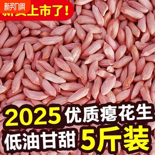 2025新山东新瘪花生米小花生小瘪子小粒小花生米农家甘甜零食新货