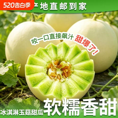 甜瓜玉菇新鲜水果整箱包邮应当季山东蜜瓜香瓜冰淇淋白瓜10斤现摘