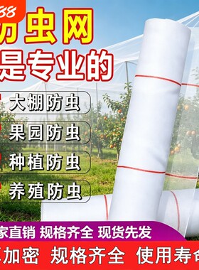 防虫网农用蔬菜大棚加厚防虫纱网