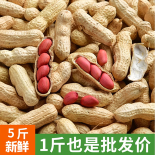 2025吉林特产四粒红花生带壳红皮花生果农家新货产地直发晒干原味