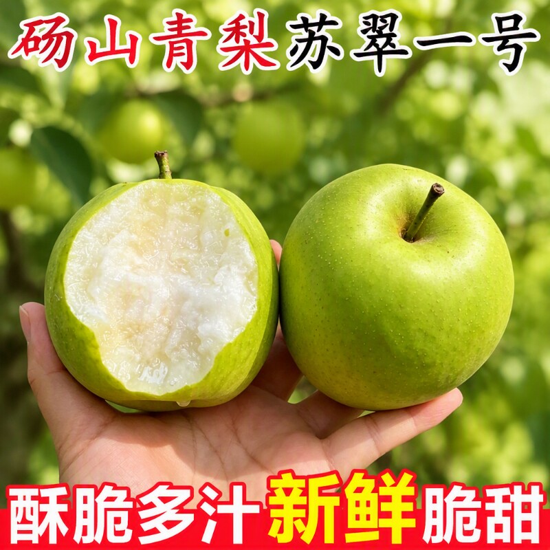 苏脆一号大果青梨|超1000次加购图片