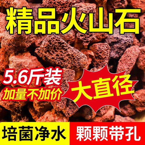 天然火山石颗粒多肉兰花水族