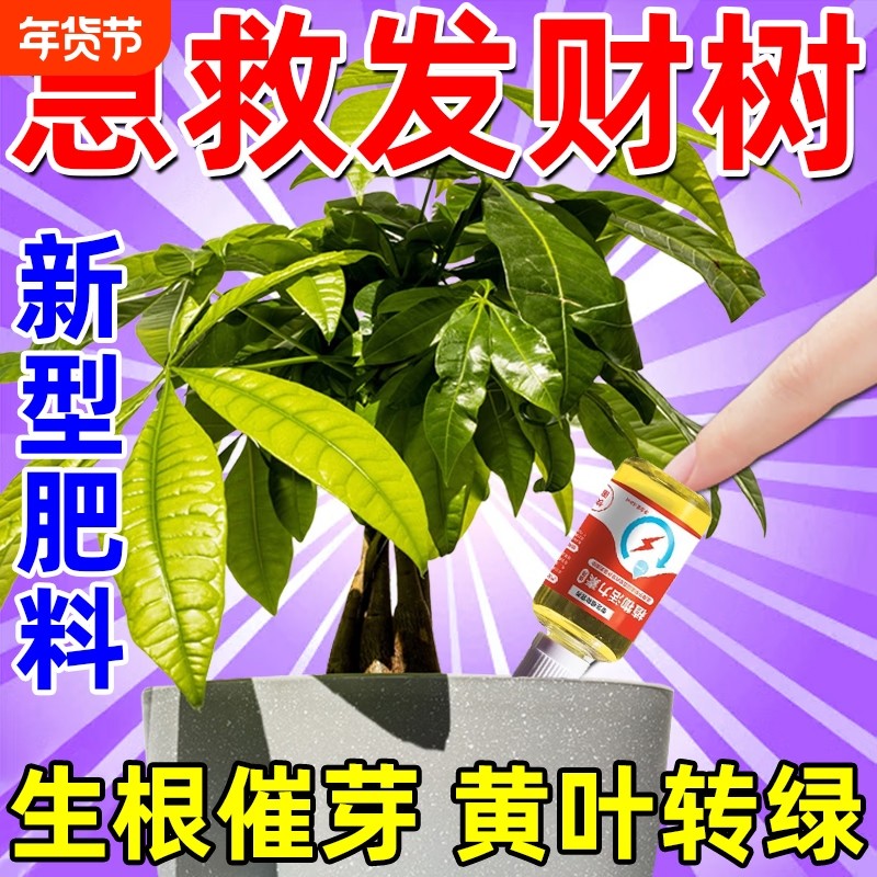 发财树再生剂复活液专用营养液植物叶子发黄掉叶烂根专用药活力素,鲜花速递/花卉仿真/绿植园艺,家庭园艺肥料,淘宝优惠券,粉丝福利购,淘宝优惠卷