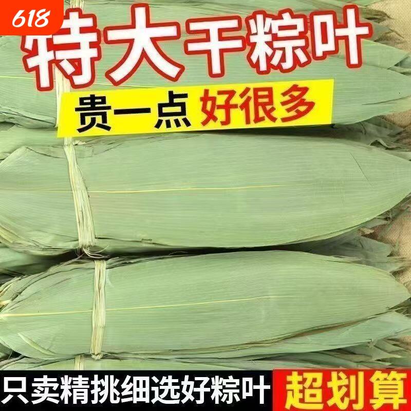粽叶干大号粽子叶包粽子的叶子芦苇专用老式棕叶新鲜竹叶特大