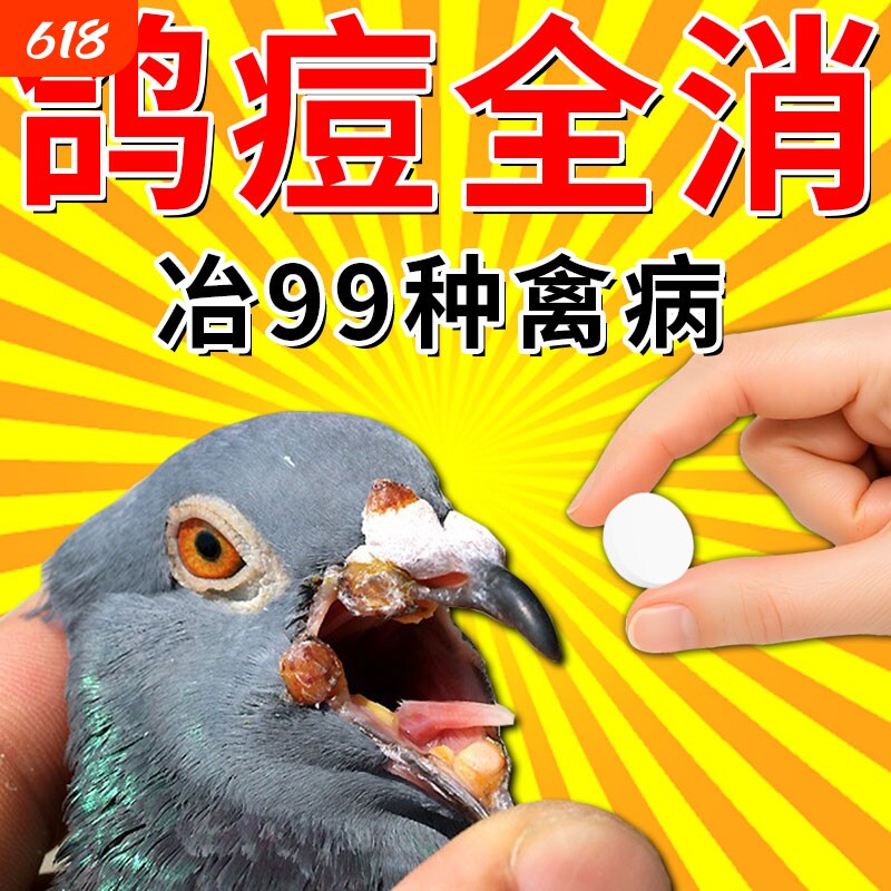 鸽痘专用药特效赛鸽幼鸟眼皮嘴角爪子长豆瘤脓一片清治疗预防大全