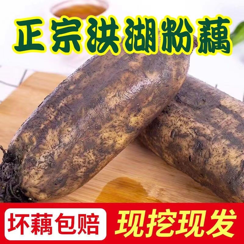 正宗洪湖粉藕带泥面藕/炖汤免煮洪湖特产加热大人孩子都爱吃健康