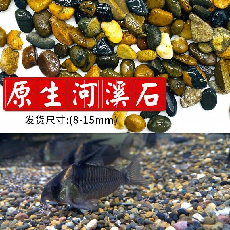 溪流石沙鱼缸底砂原生溪流乌龟缸造景石沙天然摆件水族箱铺底专用