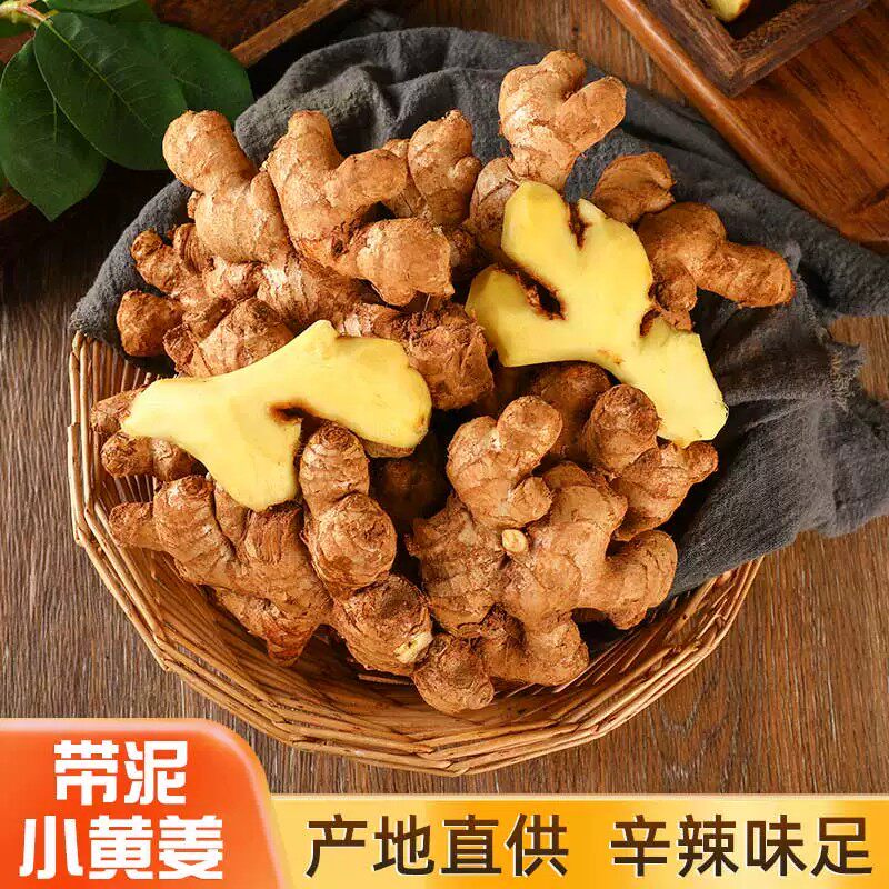 新云南小黄姜5斤新鲜生姜老姜现挖高山沙姜老嫩姜土姜蔬菜罗平