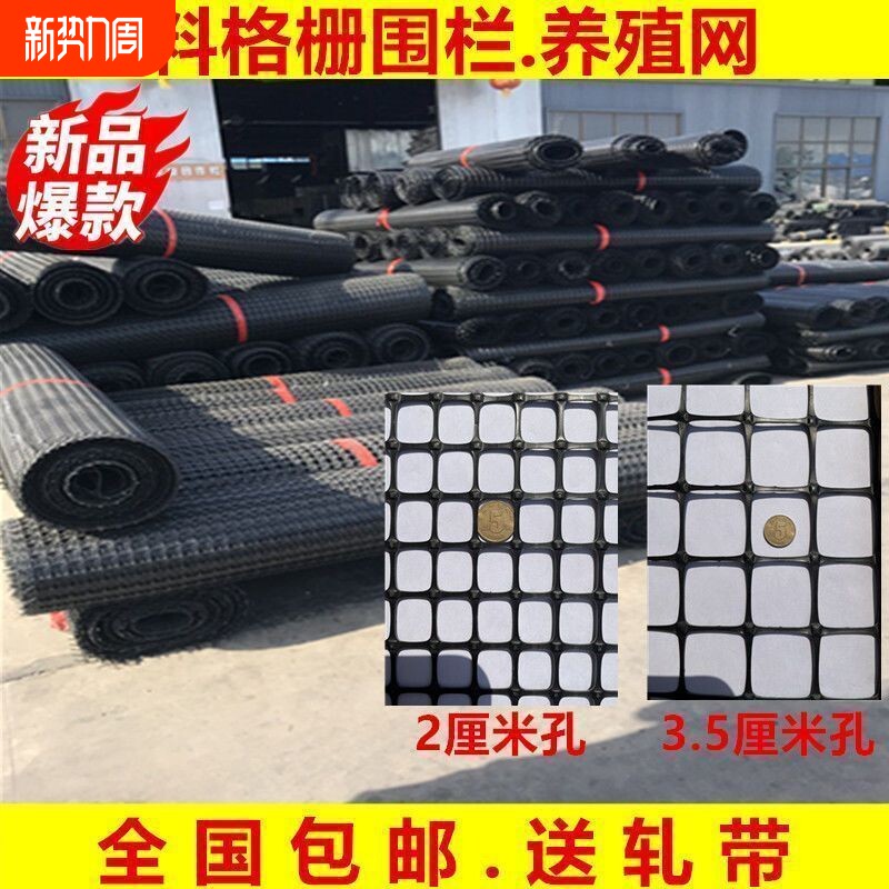 加厚鸡鸭塑料网格养殖围栏网黑胶网鱼塘隔离网防护网拦鸡网鸭床网