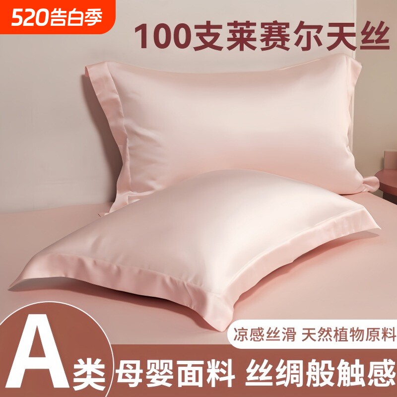 跨境出口A类100支天丝枕套夏季凉爽真丝美容枕头套纯色冰丝枕芯套