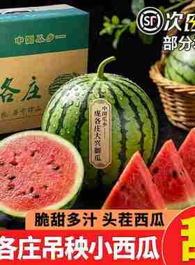 北京庞各庄西瓜吊秧小西瓜2粒整箱新鲜现摘水果顺丰包邮优选时令
