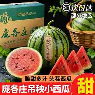 北京庞各庄西瓜吊秧小西瓜2粒整箱新鲜小西瓜现摘水果顺丰包邮