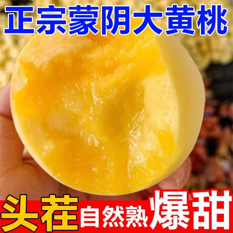 蒙阴黄桃毛桃黄毛桃新鲜水果甜桃子黄金蜜时令应季孕妇鲜果脆蜜桃