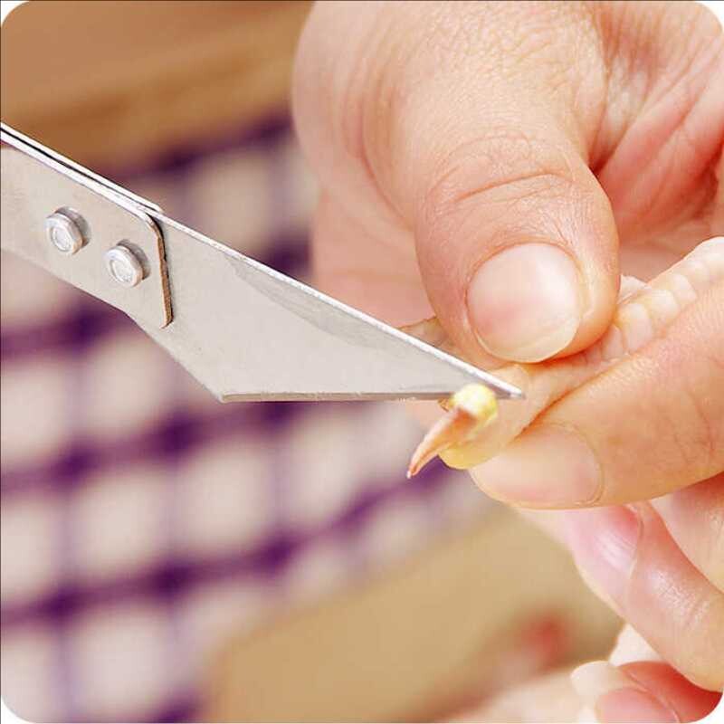 多功能不锈钢拔毛器猪毛夹 厨房用品猪毛钳 鸡毛拔毛夹子拔鸭毛器