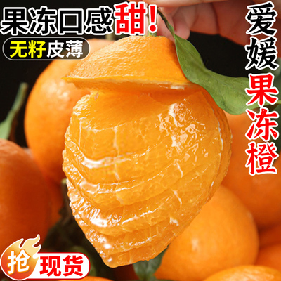 爱媛果冻橙橙子3/5/9斤新鲜水果当季整箱柑橘包邮整箱