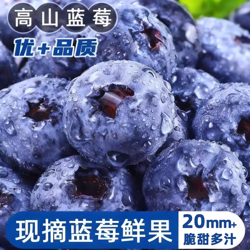 山东高山蓝莓鲜果花香蓝莓野生蓝莓新鲜水果现摘怡颗甜莓大果整箱