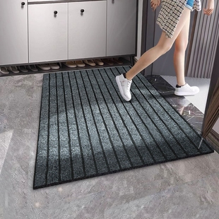 入户门地垫进门垫防滑脚垫门外耐脏免洗可擦可裁剪门口高级感厨房