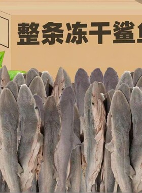冻干鲨鱼宠物狗狗猫咪零食解营养小鱼干耐咬磨牙洁齿整条牙齿清洁
