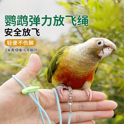 鹦鹉放飞绳超轻遛鸟牵引户外训练绳虎皮牡丹玄凤神器外出八哥