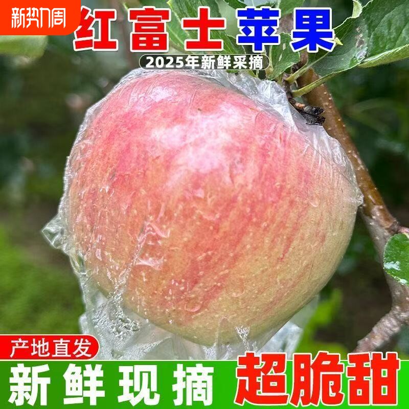 山西运城临猗冰糖心丑苹果当季新鲜现摘红富士脆甜产地直发整箱