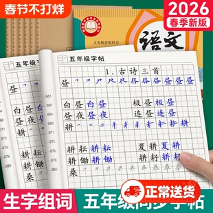 五年级语文练字帖生字同步练字字帖上册下册小学生专用人教版每日一练写字本描红练字本钢笔硬笔书法笔顺笔画练习楷书作文新版古诗
