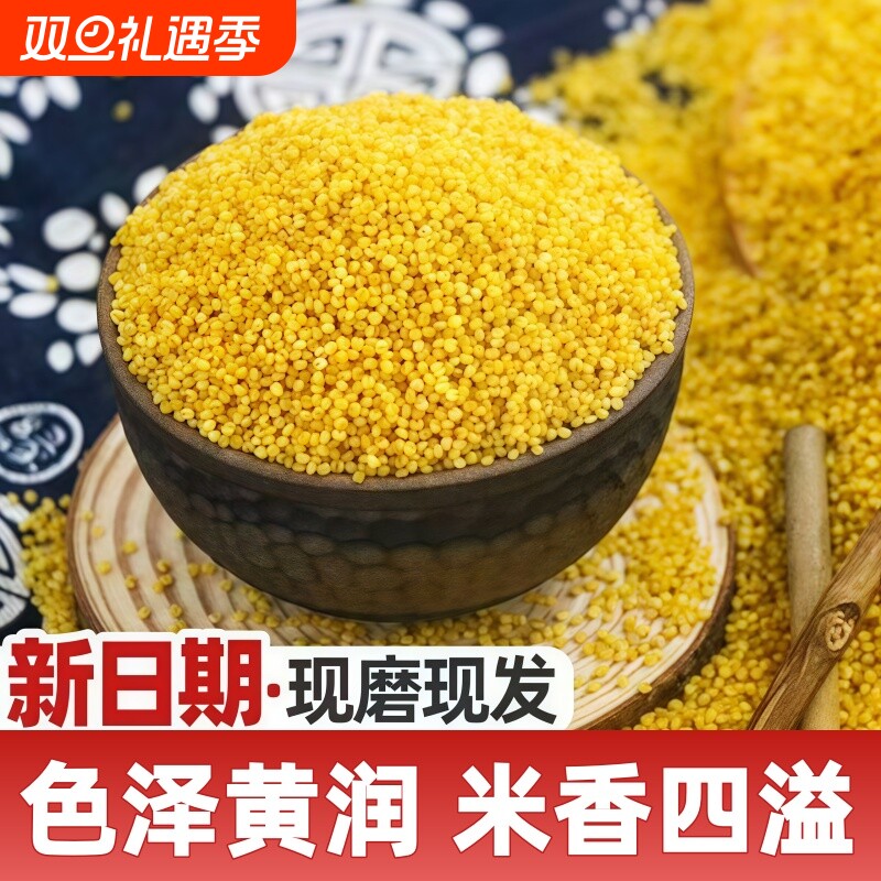 新鲜黄小米当季粗粮五谷杂粮粟米油脂软糯粗粮煲粥小米粥农家新米