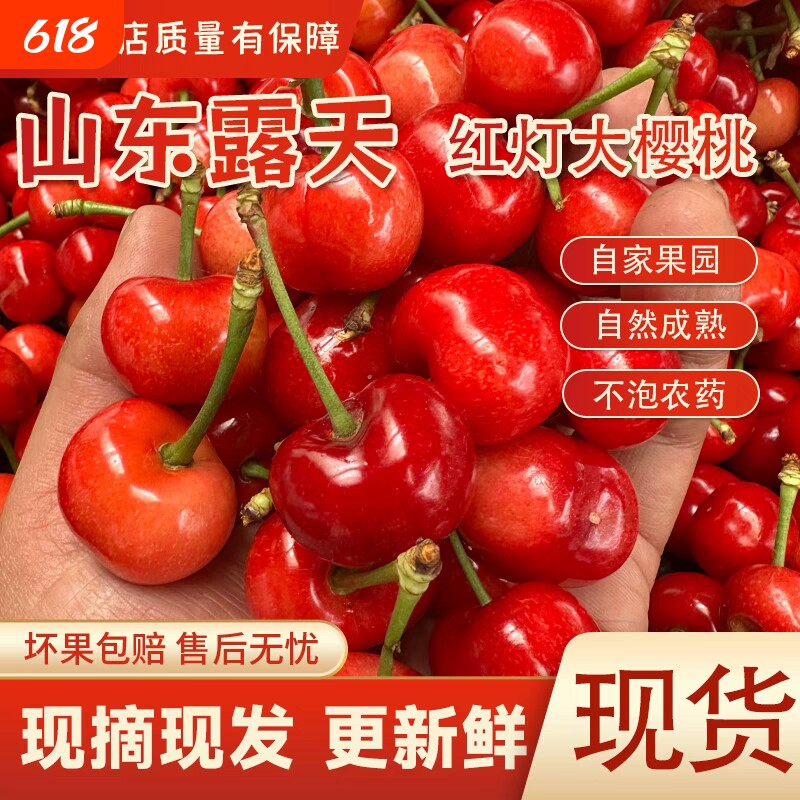 山东烟台  大樱桃新鲜当季水果现摘现发顺丰包邮时令水果