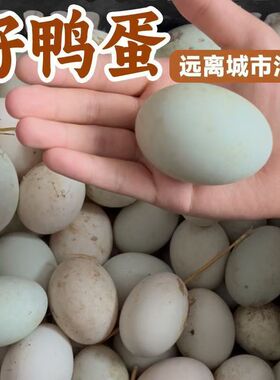 正宗农家散养生鸭蛋新鲜鸭蛋绿色食品土鸭蛋农家鸭蛋30枚整箱批发